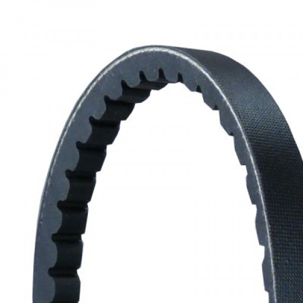 <br />
<b>Notice</b>:  Undefined index: brand_name in <b>/home/otopar10/public_html/store/product.php</b> on line <b>1790</b><br />
<br />
<b>Notice</b>:  Undefined index: category_name in <b>/home/otopar10/public_html/store/product.php</b> on line <b>1790</b><br />
 V Kayışı CT-AVX13X1025 - BMW (2025) -  