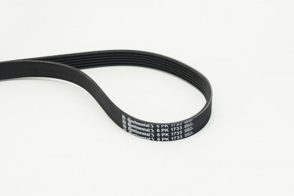 <br />
<b>Notice</b>:  Undefined index: brand_name in <b>/home/otopar10/public_html/store/product.php</b> on line <b>1790</b><br />
<br />
<b>Notice</b>:  Undefined index: category_name in <b>/home/otopar10/public_html/store/product.php</b> on line <b>1790</b><br />
V Kayışı CT-6PK1733 - BMW E36 E46, Volkswagen A1 A3 A4 A6 Golf 5-6 Jetta 3-4 Passat (1992-) -  