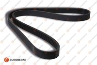 <br />
<b>Notice</b>:  Undefined index: brand_name in <b>/home/otopar10/public_html/store/product.php</b> on line <b>1790</b><br />
<br />
<b>Notice</b>:  Undefined index: category_name in <b>/home/otopar10/public_html/store/product.php</b> on line <b>1790</b><br />
 V Kayışı CT-6PK1560 - BMW M50 M52 M54 (1993-) -  