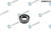 <br />
<b>Notice</b>:  Undefined index: brand_name in <b>/home/otopar10/public_html/store/product.php</b> on line <b>1790</b><br />
<br />
<b>Notice</b>:  Undefined index: category_name in <b>/home/otopar10/public_html/store/product.php</b> on line <b>1790</b><br />
Eksantrik Mili Ayar Contası 250.890 - BMW N13 (2010-) -  