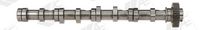 <br />
<b>Notice</b>:  Undefined index: brand_name in <b>/home/otopar10/public_html/store/product.php</b> on line <b>1790</b><br />
<br />
<b>Notice</b>:  Undefined index: category_name in <b>/home/otopar10/public_html/store/product.php</b> on line <b>1790</b><br />
Eksantrik Mili 03L 109 021 - Volkswagen A1 A3 A4 A5 A6 Caddy, Crafter, Golf, Passat, Transporter (2006-) -  