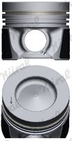 <br />
<b>Notice</b>:  Undefined index: brand_name in <b>/home/otopar10/public_html/store/product.php</b> on line <b>1790</b><br />
<br />
<b>Notice</b>:  Undefined index: category_name in <b>/home/otopar10/public_html/store/product.php</b> on line <b>1790</b><br />
Piston 03L107065J - Volkswagen A1 A3 Caddy Golf Jetta Passat Polo (2009-) -  