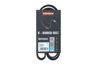 <br />
<b>Notice</b>:  Undefined index: brand_name in <b>/home/otopar10/public_html/store/product.php</b> on line <b>1790</b><br />
<br />
<b>Notice</b>:  Undefined index: category_name in <b>/home/otopar10/public_html/store/product.php</b> on line <b>1790</b><br />
V Kayışı 6PK1173 - VAG 80 A6 BMW F39 F40 F44 F45 F46 F48 F91 (1991-) -  