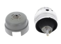 <br />
<b>Notice</b>:  Undefined index: brand_name in <b>/home/otopar10/public_html/store/product.php</b> on line <b>1790</b><br />
<br />
<b>Notice</b>:  Undefined index: category_name in <b>/home/otopar10/public_html/store/product.php</b> on line <b>1790</b><br />
Motor Kulağı 3623101 - Audi A6 (2004-2012) -  