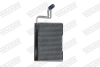 <br />
<b>Notice</b>:  Undefined index: brand_name in <b>/home/otopar10/public_html/store/product.php</b> on line <b>1790</b><br />
<br />
<b>Notice</b>:  Undefined index: category_name in <b>/home/otopar10/public_html/store/product.php</b> on line <b>1790</b><br />
 Evaporatör 92268 - BMW N43 N45 N46 N47 N52 N54 N55 N57 (2006-) -  