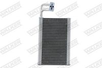 <br />
<b>Notice</b>:  Undefined index: brand_name in <b>/home/otopar10/public_html/store/product.php</b> on line <b>1790</b><br />
<br />
<b>Notice</b>:  Undefined index: category_name in <b>/home/otopar10/public_html/store/product.php</b> on line <b>1790</b><br />
Evaporatör MHB-AE68000P - BMW 5 Serisi E60 (2003-2010) -  