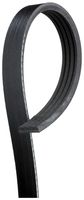 V Kayışı 11287570665 - BMW X6 (2009-2011)