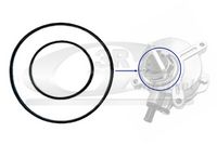 Vakum Pompa Contası 11667509080 - BMW (2005-2016)
