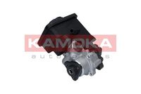 Direksiyon Pompası 32411095749 - BMW E39 M57 Motor (1999-2003)