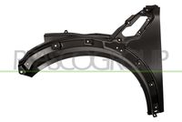 Çamurluk Ön 41009805643 - Mini Countryman Paceman R60-61 (2010-2016)
