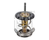 Termostat PBM100040 - 2.0 D (1998-2006)