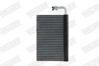 Evoparator 64118385560 - BMW E39 X5 E53 (1996-2006)