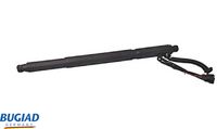 Bagaj Amortisörü Sol 51247332697 - BMW X6 E71/E72 (2009-2014)