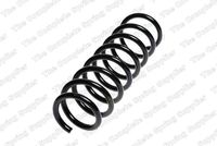 Helezon Yayı Arka 4208449 - BMW E39 (1996-2003)