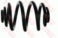Helezon Yayı Arka 33536760604 - BMW Z4 E85-E86 (2002-2009)