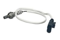 Oksijen Sensörü 11780872674 - MINI R50/R52 (2001-2006)