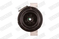 Klima Kompresörü 64526901206 - BMW E46 E39 (1996-2005)