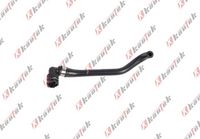 Hava Filtre Hortumu 17123414420 - X3 E83 (2005-2011)