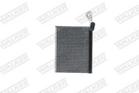 <br />
<b>Notice</b>:  Undefined index: brand_name in <b>/home/otopar10/public_html/store/product.php</b> on line <b>1583</b><br />
<br />
<b>Notice</b>:  Undefined index: category_name in <b>/home/otopar10/public_html/store/product.php</b> on line <b>1583</b><br />
Evoparator 64116968201 - BMW X5 E70, X6 E71 (2014-) -  