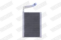 <br />
<b>Notice</b>:  Undefined index: brand_name in <b>/home/otopar10/public_html/store/product.php</b> on line <b>1583</b><br />
<br />
<b>Notice</b>:  Undefined index: category_name in <b>/home/otopar10/public_html/store/product.php</b> on line <b>1583</b><br />
Evoparator 64119229487 - BMW F20-F21-F22-F23-F30-F31-F34-F32-F33-F36 (2010-2018) -  