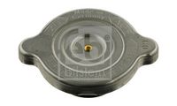 Radyatör Kapağı 51971410016 - (1997-2000)
