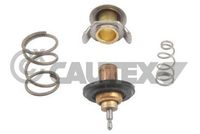 Termostat LR005765 - Range Rover 4.2 (2006-2010)