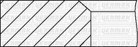 Segman 06 8391 00 - Discovery Sport III-IV 2.7 TD (2004-2019)