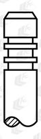 <br />
<b>Notice</b>:  Undefined index: brand_name in <b>/home/otopar10/public_html/store/product.php</b> on line <b>1583</b><br />
<br />
<b>Notice</b>:  Undefined index: category_name in <b>/home/otopar10/public_html/store/product.php</b> on line <b>1583</b><br />
Supap Emme 11341438385 - 3 Serisi, 5 Serisi, 7 Serisi, X3, X5, Z3, Z4 (1997-2000) -  