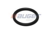 Oring A0169978248 - (75-)