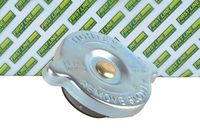 Radyatör Yedek Su Depo Kapağı A0005016215 - 611 Motor