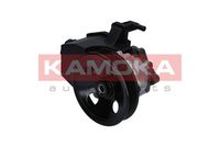 Direksiyon Pompası A0024662901 - 111 Motor (1995-2004)