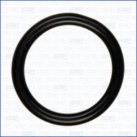 Devirdaim Oringi A6079971245 - 607 Motor (2012-2018)