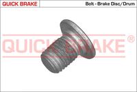 Fren Diski Civatası A2204210171 - BM Motor (1997-)