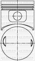 Piston + Segman A1020301138 - Mercedes W124-201 200E (1984-1993)
