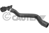 Radyatör Su Hortumu 1J0122157P - Volkswagen Golf 4, Bora, Audi A3, Seat Toledo, Skoda Octavia (1997-2004)
