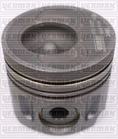 Piston + Segman 074107065AB - Volkswagen Transporter T4 2.5 TDI (1991-) - FEDERAL 