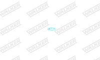<br />
<b>Notice</b>:  Undefined index: brand_name in <b>/home/otopar10/public_html/store/product.php</b> on line <b>1790</b><br />
<br />
<b>Notice</b>:  Undefined index: category_name in <b>/home/otopar10/public_html/store/product.php</b> on line <b>1790</b><br />
Triger Seti VKMA01013 - Volkswagen Caddy, Passat, T4 (1991-) -  