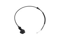  Kaput Teli 51238208442 - BMW 3 Serisi E46 - BTAP BMW