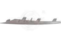 Tampon Çıtası Ön Sol 51117222847 - BMW X5 E70LCI (2010-2013)