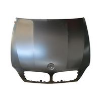  Alüminyum Kaput 41617486754 - BMW X5 E70 (2006-2013) - BTAP BMW