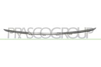  Tampon Çıtası 51117396833 - BMW F30 LCI Luxury (2015-2019) - BTAP BMW