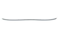  Tampon Çıtası 51127273796 - BMW F20 - BTAP BMW