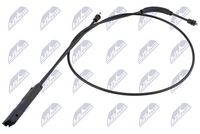  Ön Kaput Teli 2058800059 - Mercedes-Benz C-Serisi W205 - BTAP BMW