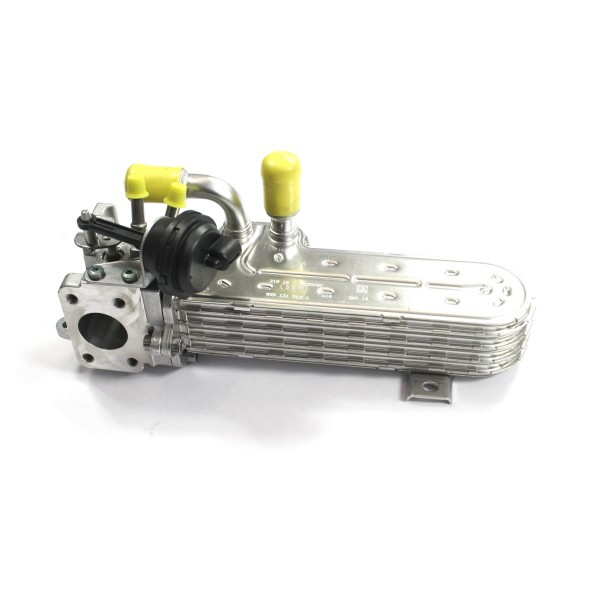 <br />
<b>Notice</b>:  Undefined index: brand_name in <b>/home/otopar10/public_html/store/product.php</b> on line <b>1583</b><br />
<br />
<b>Notice</b>:  Undefined index: category_name in <b>/home/otopar10/public_html/store/product.php</b> on line <b>1583</b><br />
Egr Valfi 03G131512L - Volkswagen Passat Jetta 2.0 TDI (2004-) -  