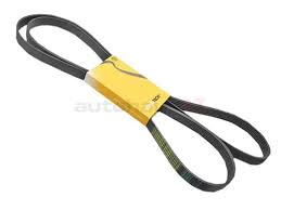 <br />
<b>Notice</b>:  Undefined index: brand_name in <b>/home/otopar10/public_html/store/product.php</b> on line <b>1583</b><br />
<br />
<b>Notice</b>:  Undefined index: category_name in <b>/home/otopar10/public_html/store/product.php</b> on line <b>1583</b><br />
V Kayışı 059903137AG - Audi A4 A6 - 3.2 FSI-3.0 TDI (2008-) -  