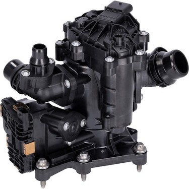 Termostat Komple 11538631943 - X1, X2, (2014-)