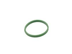 Oring A4159970345 - 607-608-200 Motor (2013-)