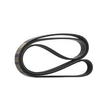 <br />
<b>Notice</b>:  Undefined index: brand_name in <b>/home/otopar10/public_html/store/product.php</b> on line <b>1583</b><br />
<br />
<b>Notice</b>:  Undefined index: category_name in <b>/home/otopar10/public_html/store/product.php</b> on line <b>1583</b><br />
V Kayışı 022145933T - Audi A8 4.0 TDI (2003-2005) -  